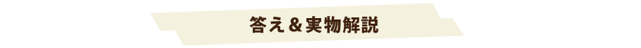 回答コーナー看板