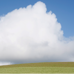 地平線と白い雲と畑ページへ